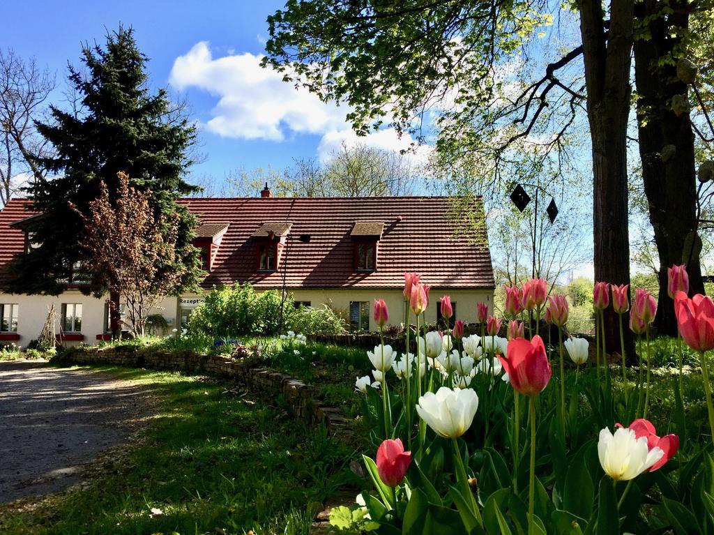 Gaestehaus Schloss Plaue Brandenburg  ภายนอก รูปภาพ