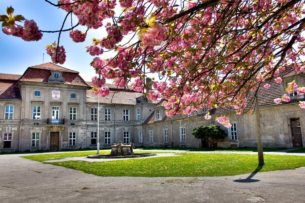 Gaestehaus Schloss Plaue Brandenburg  ภายนอก รูปภาพ